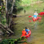 Kayaking & Canoeing Activities in Kurzeme, Latvia